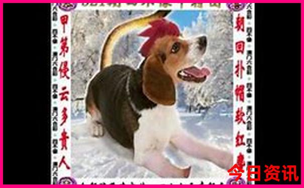 7月长白山旅游必备
